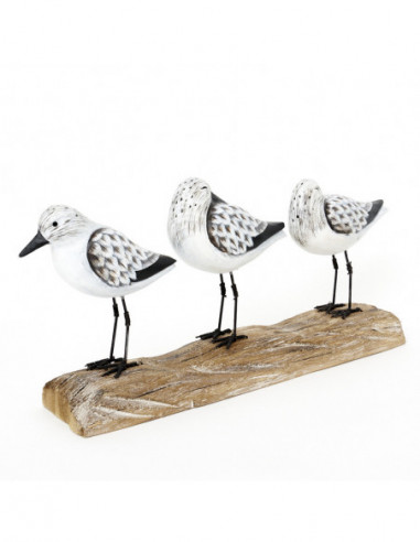 Pájaros náuticos sobre base de madera