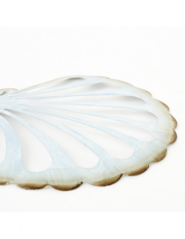 Colgante concha de mar blanca  Colgante concha de mar blanca